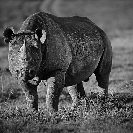 Riverbend Lodge Addo Luaran gambar