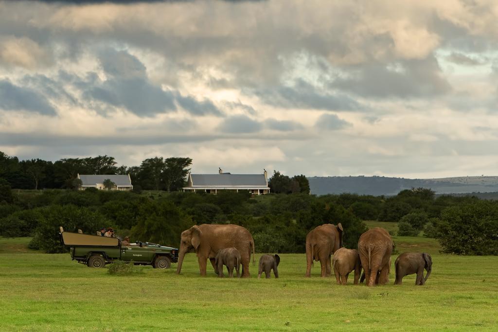 Riverbend Lodge Addo Luaran gambar
