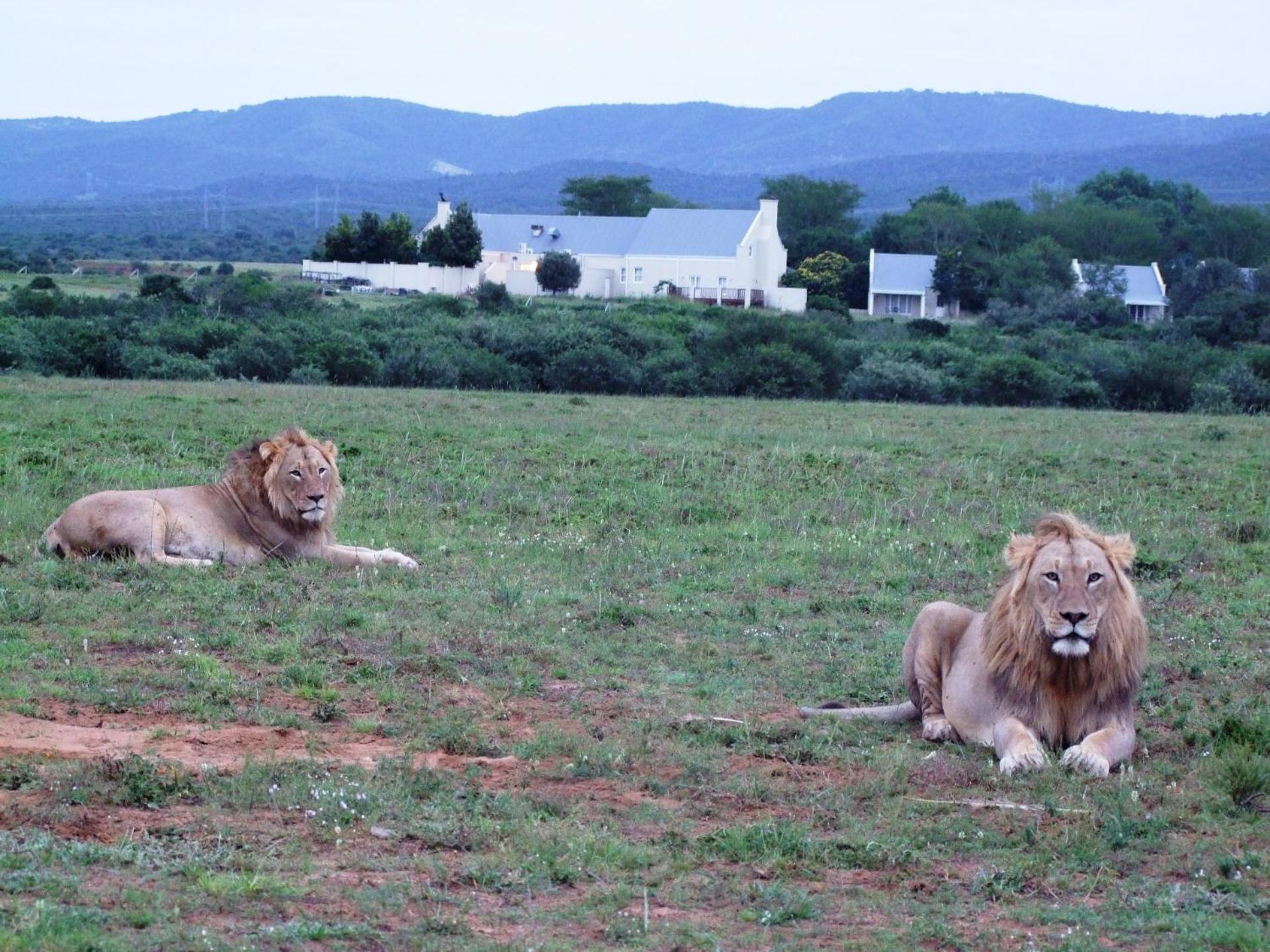 Riverbend Lodge Addo Luaran gambar