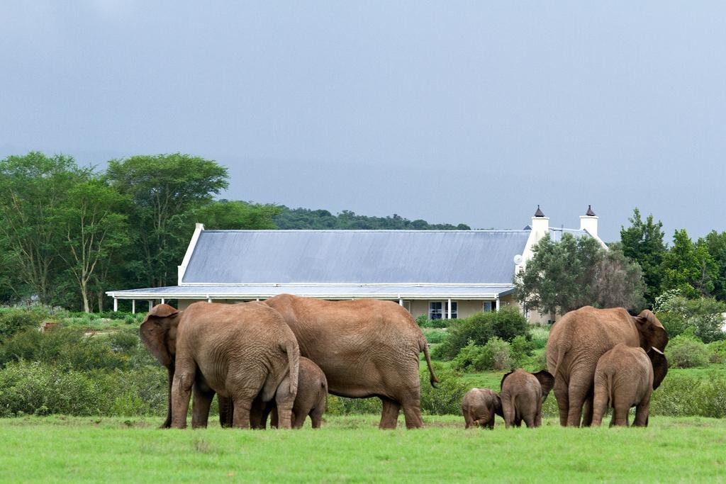 Riverbend Lodge Addo Luaran gambar
