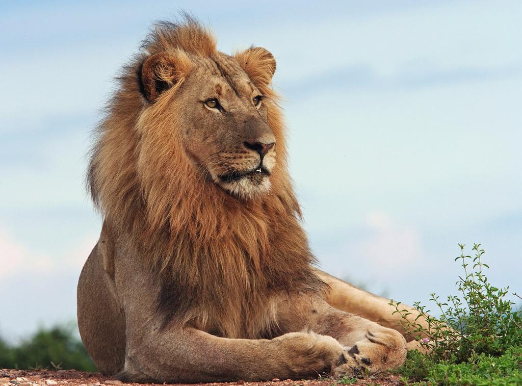 Riverbend Lodge Addo Luaran gambar