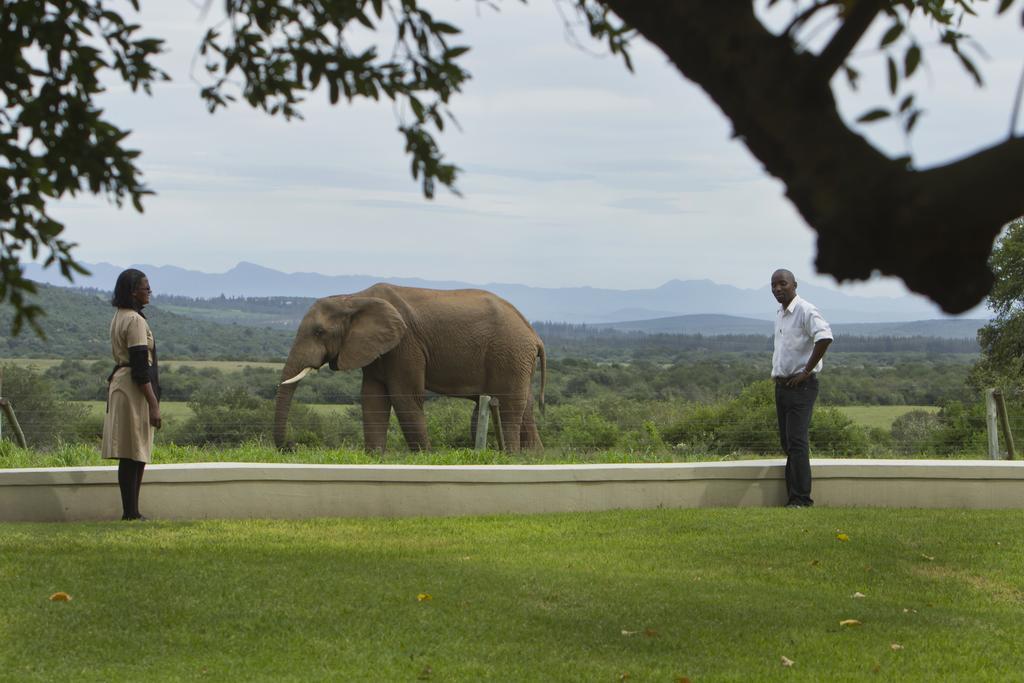 Riverbend Lodge Addo Luaran gambar
